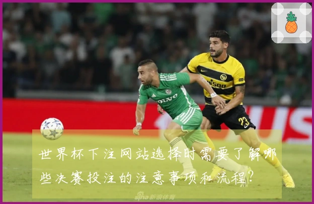 世界杯下注网站选择时需要了解哪些决赛投注的注意事项和流程？
