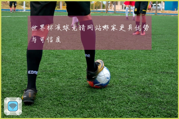 世界杯滚球竞猜网站哪家更具优势与可信度