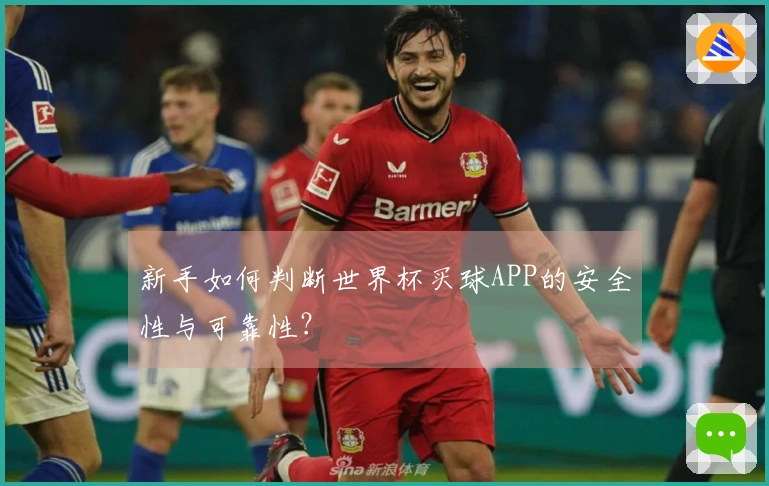 新手如何判断世界杯买球APP的安全性与可靠性？