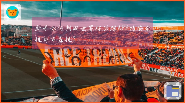 新手如何判断世界杯买球APP的安全性与可靠性？